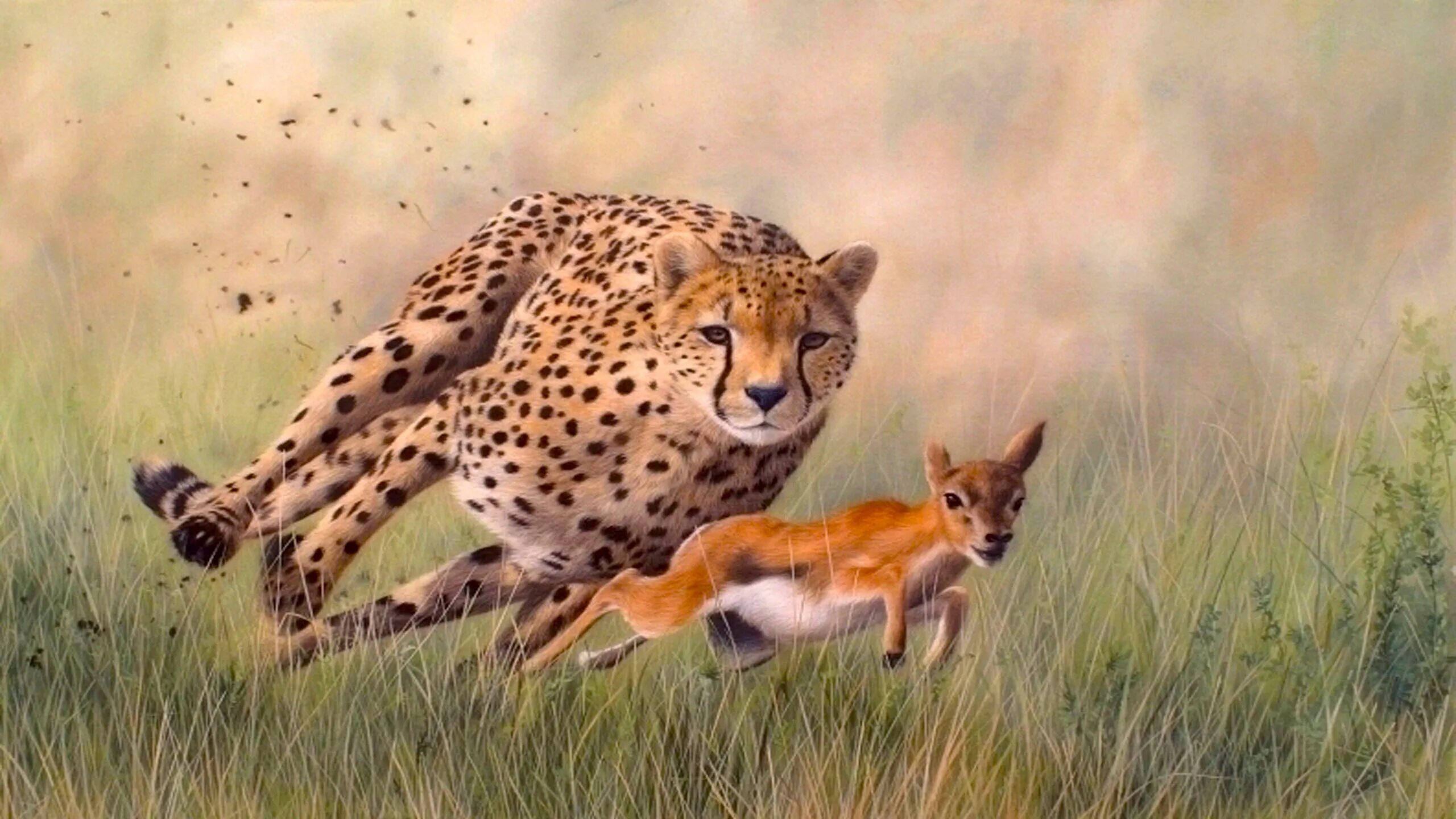 Плотоядные животные. Примеры хищных животных. Хищные звери названия. Лион тигер. Ребенок и хищный зверь.