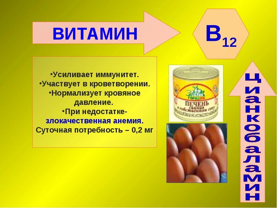 Заболевание витамина б 2. Витамины. Что такое витамины. Витамины группы b12. Витамины это кратко.