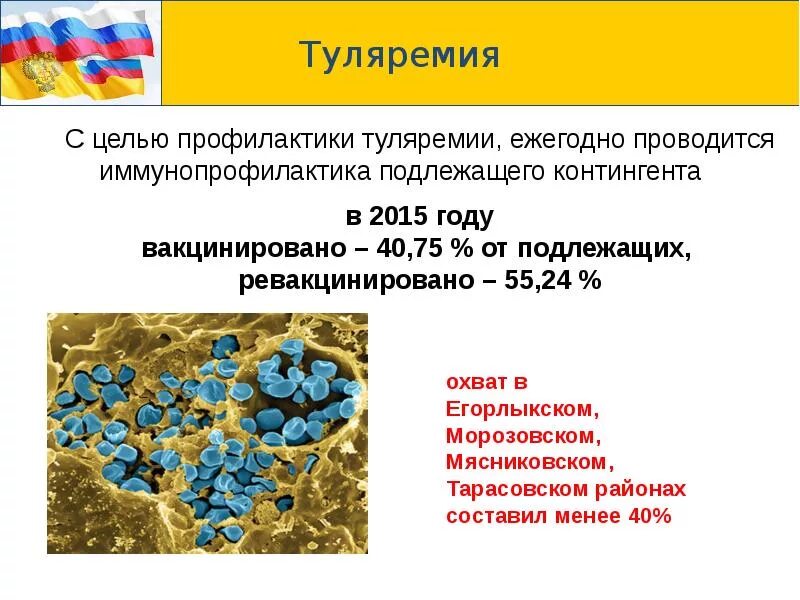 Вакцина от туляремии. Туляремия лечение и профилактика. Туляремия и ее профилактика. Возбудитель туляремии лечение и профилактика.