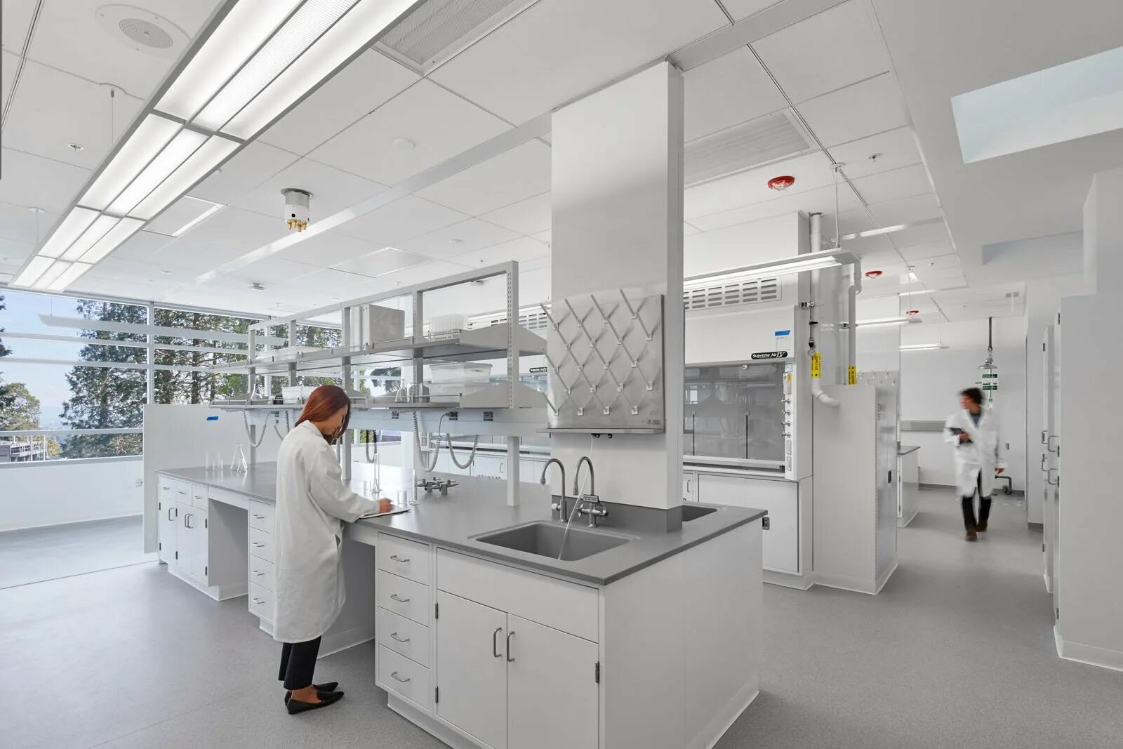 T laboratory