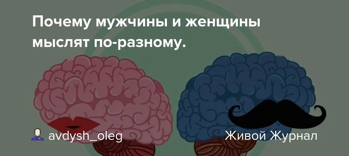 Почему мужчины и женщины мыслят по-разному. Мозг мужчины и женщины. Мужчины и женщины мыслят. Думай по разному. Разница в мышлении мужчины и женщины.