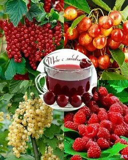 Июль фрукты