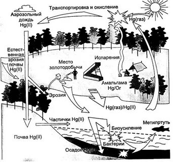 Ртуть в атмосфере