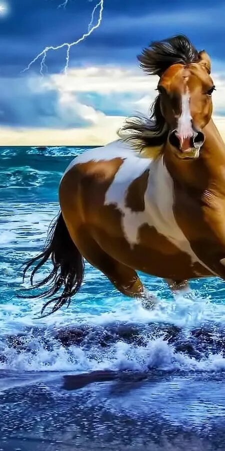 Кони бегущие по воде. Картинки лошадей. Бегущая лошадь на заставку. Обои на рабочий стол лошади. Лошадь бежит.