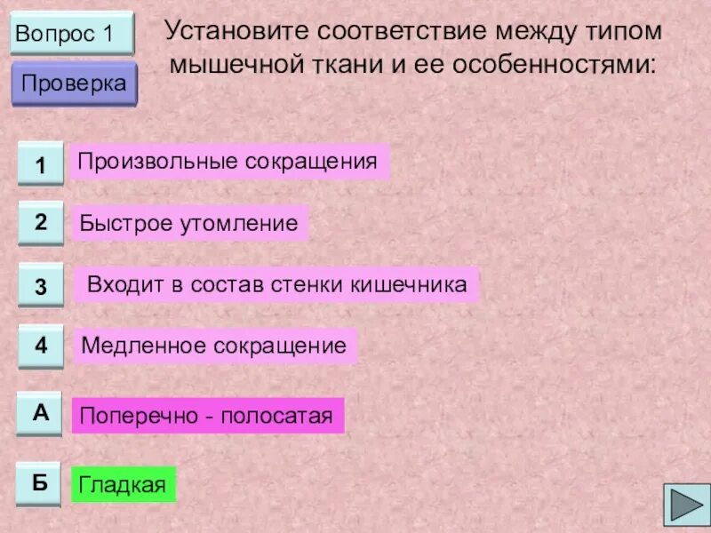 Установите соответствие между тканями. Установите соответствие между типом ткани и тканью. установите соответствие между видами мышечной ткани. установите соответствие между видом ткани и мышцей. соответствие между типом мышечной ткани и ее характеристиками.