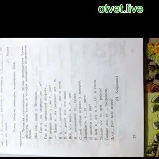 Мы спросили у всезнайки