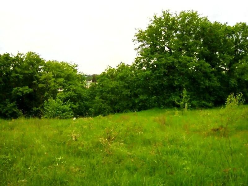 участки ижс нижний новгород. участок земли нижний новгород. деревня инютино ул земляничная. кп янтарный нижегородская область дальнеконстантиновский район. участки ижс нижний новгород.