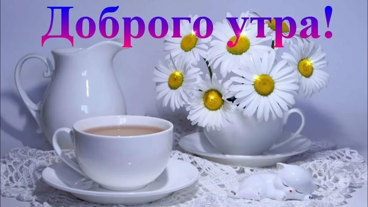 Rutube доброе утро. С добрым утром. добрый. открытки с добрым утром с ромашками. доброе утро ромашки.