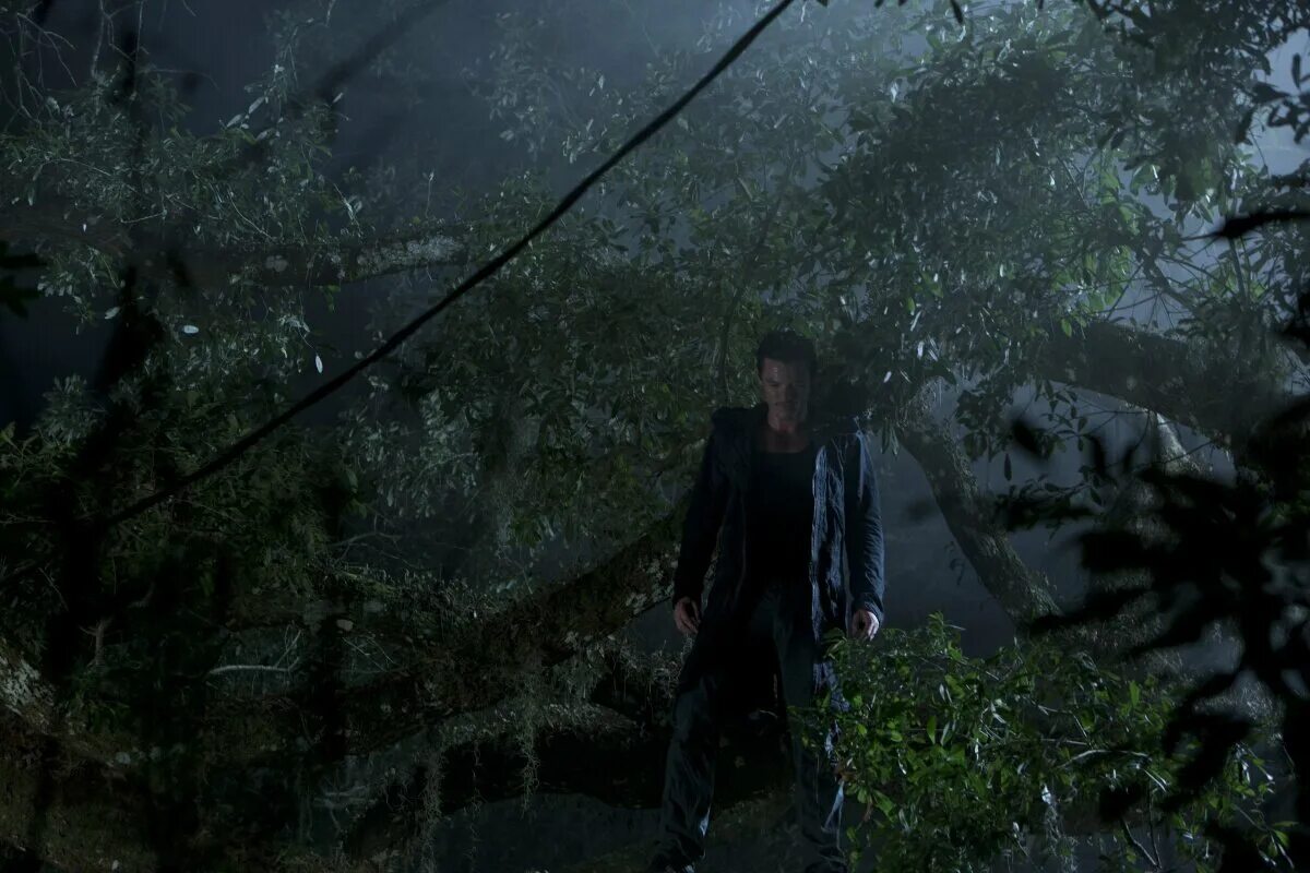 Выживший 2012. Выживший 2012. «никто не совершенен» (2006). Люк эванс никто не выжил. Выживший 2012.