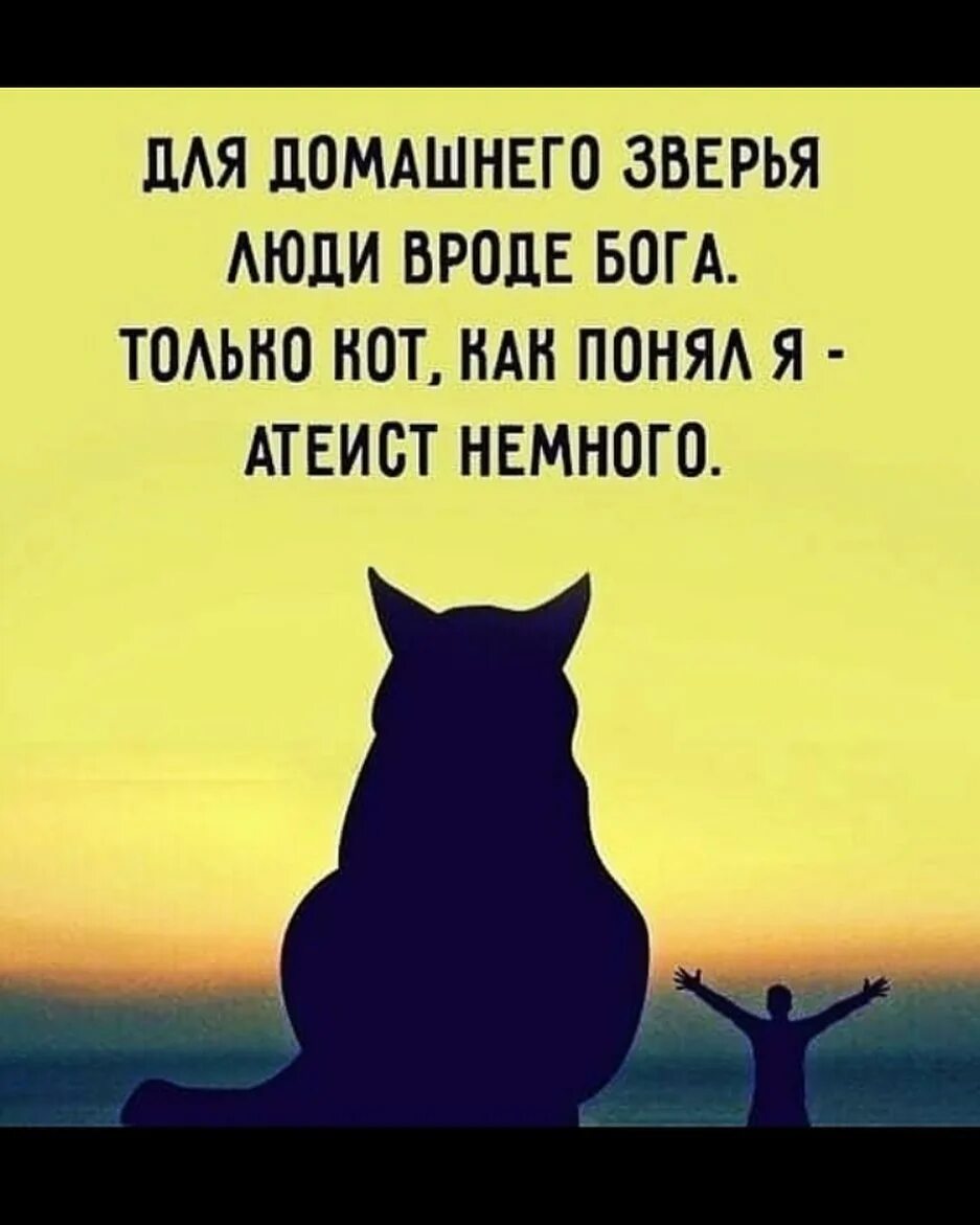 Вроде з. Кот атеист. для домашнего зверья люди вроде бога. только кот как понял я атеист немного. кот богоед.