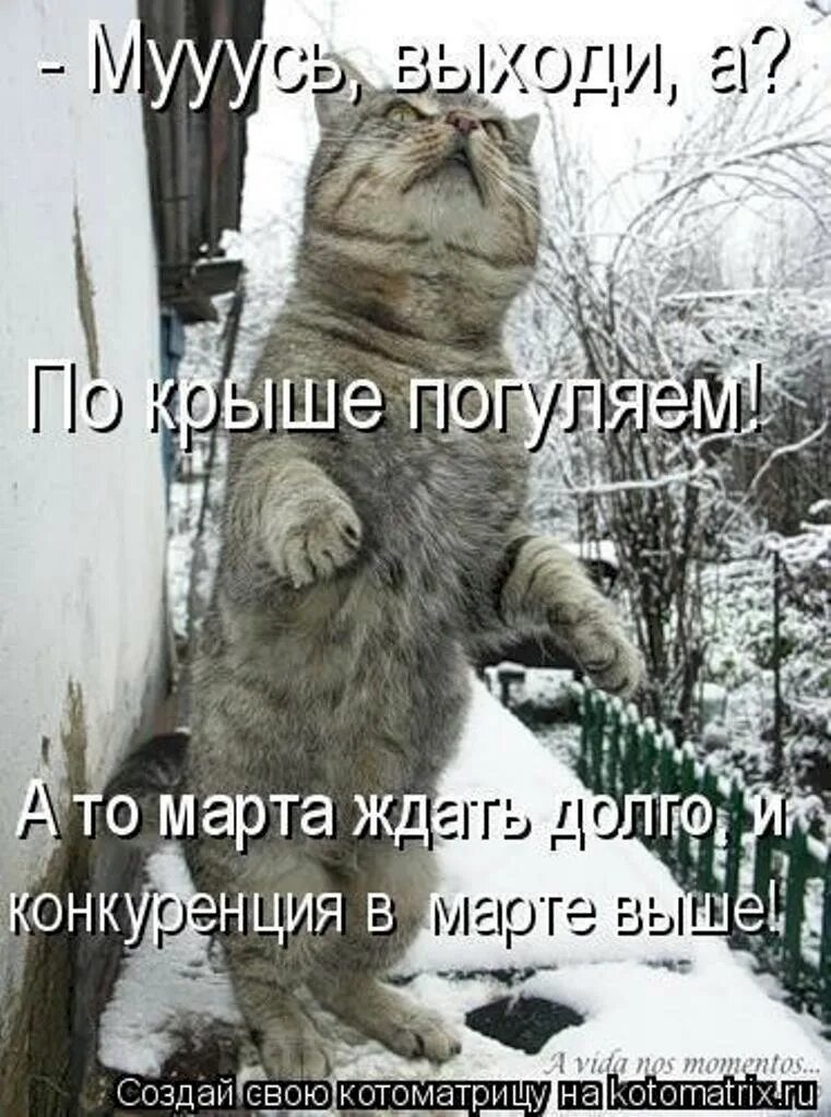 Возле вашего