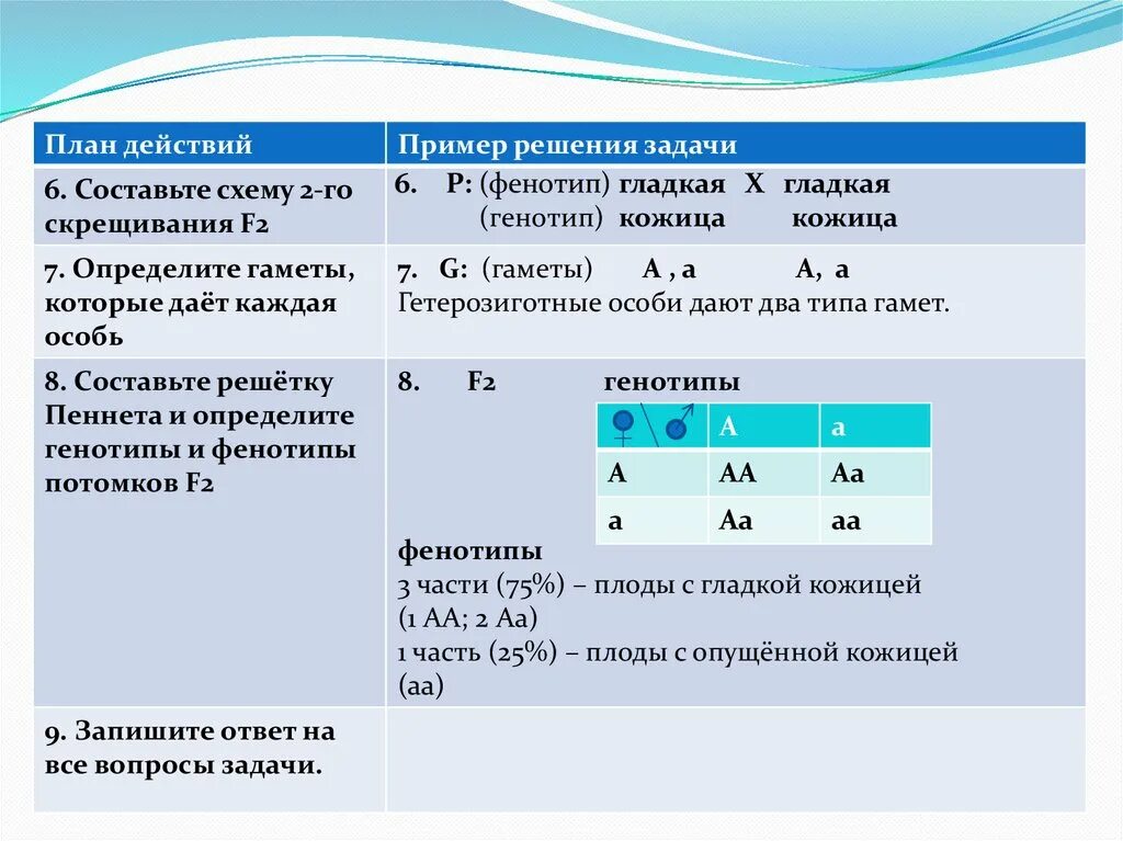 Какой генотип у родителей. Генетические задачи. Генотип и фенотип в задачах. Фенотип и генотип в задачах на генетику. Задачи на генотип и фенотип с решением.