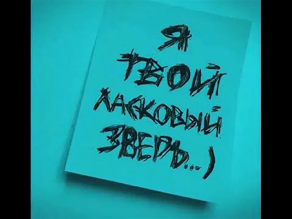 Я буду твоим зверем. Твой ласковый зверь. 9 Грамм ласковый зверь. А. Орлова - ласковый зверь. Ласковый зверь 9 грамм Alina Orlova.