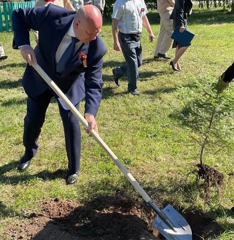 Аллея медицинских работников. Аллея героев селты. Заложили аллею. Аллея имени жириновского рязань. Заложили аллею.