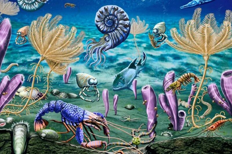 Эволюция морские животных. Эволюция морские животных. Эволюция морские животных. Эволюция морские животных. Эволюция морские животных.