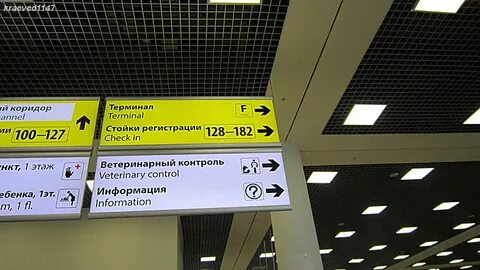 Справочная служба шереметьево телефон