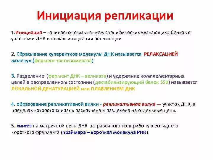 Начинает процесс инициации. Репликация днк стадии инициация. репликация днк инициация элонгация терминация. этапы репликации днк инициация. схема инициации репликации.