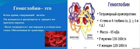 Гемоглобин общий это