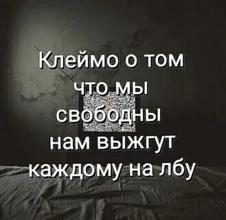 i?id=ab0534f961cae88746908bbb72a1154d74f4ed1c-9226126-images-thumbs&n=13