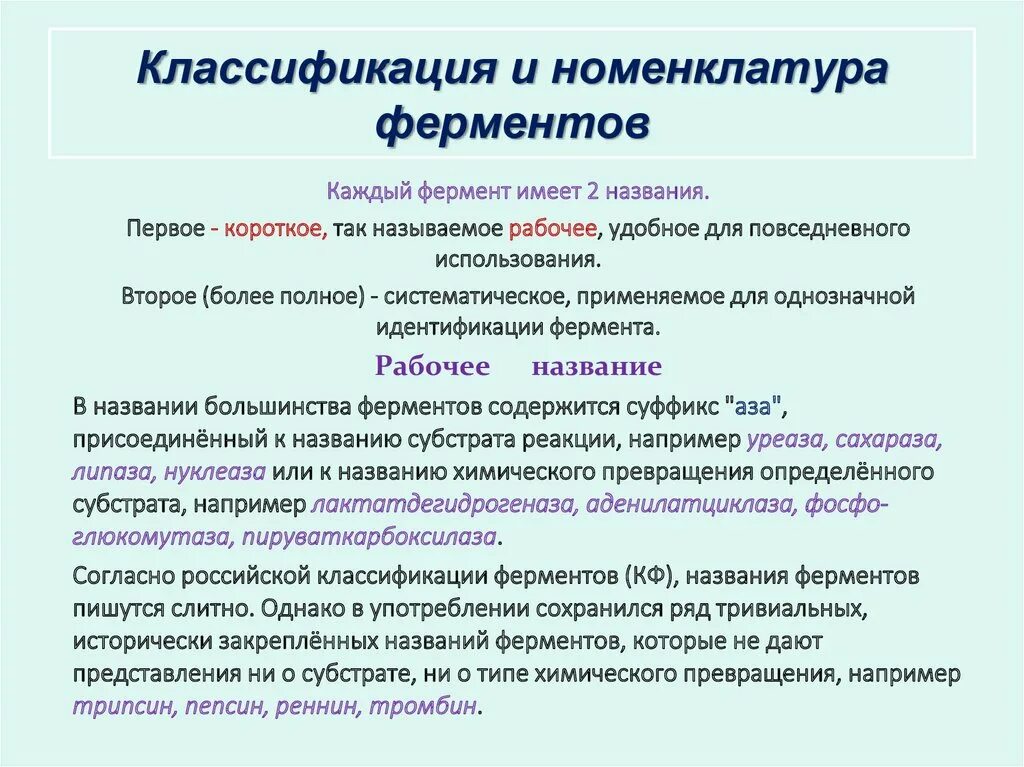 Назначение ферментов. Ферменты номенклатура классификация ферментов. Химическая природа, классификация и номенклатура ферментов.. Номенклатура ферментов биохимия. Классификация и номенклатура ферментов кратко.