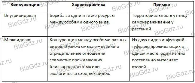 Характеристика внутривидовой борьбы. Типы конкурентных взаимодействий таблица. Типы конкурентных взаимодействий. Типы конкуренции взаимодействий таблица. Внутривидовая борьба характеристика.