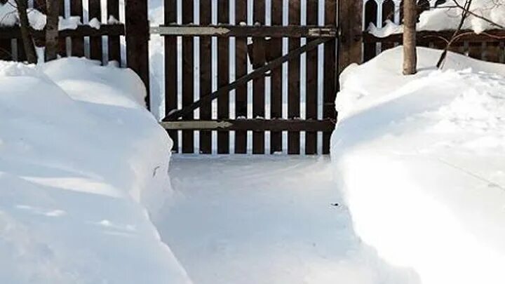Сосед зимой. Сосед зимой. Много снега. Медведи соседи зимние каникулы. Медведи соседи зимой.