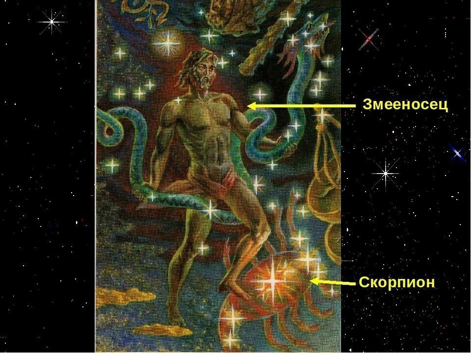 Знаки зодиака фото. Змееносец созвездие арт. Ophiuchus обои для айфон. Скорпионы змееносцы. Скорпионы змееносцы.