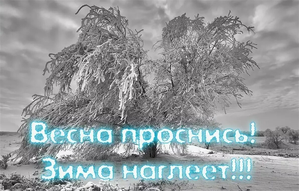 Опять метель какого ведь уже апрель. Вновь пришла зима. Доброе морозное Весеннее утро.