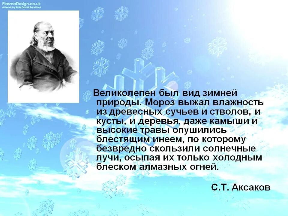 Ночью был мороз кусты заиндевели и стали. Великолепен был вид зимней природы. великолепен был вид зимней природы и кусты и деревья. великолепен был этот вид. сочинение великолепен был этот вид.