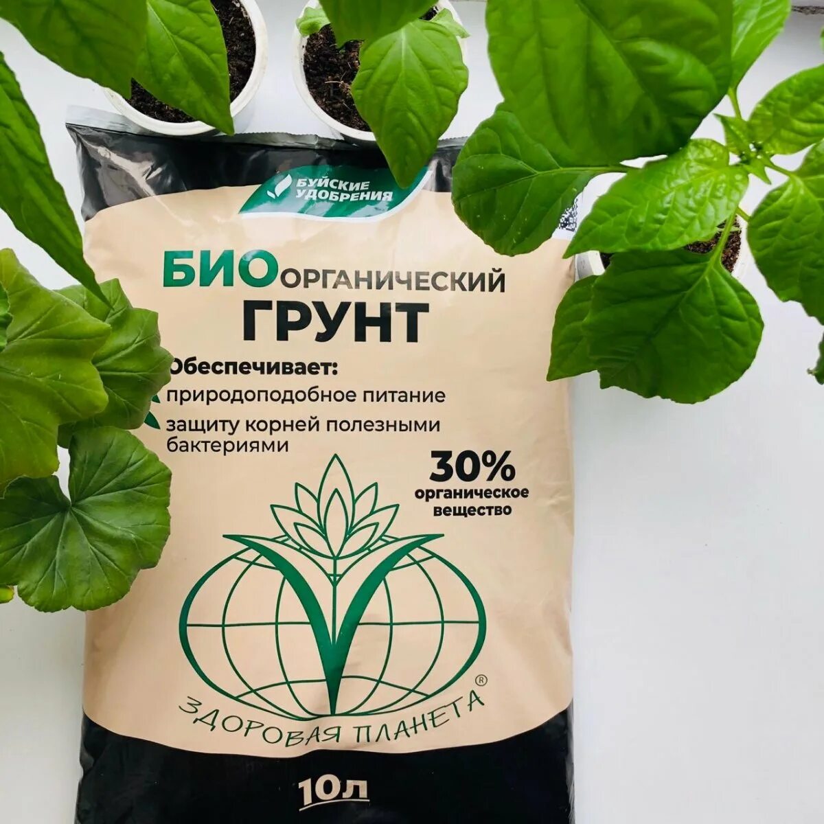 Грин пик биоземля для рассады. Плодородная земля. Росток в руках. Грин пик биоземля для рассады. Био земель.