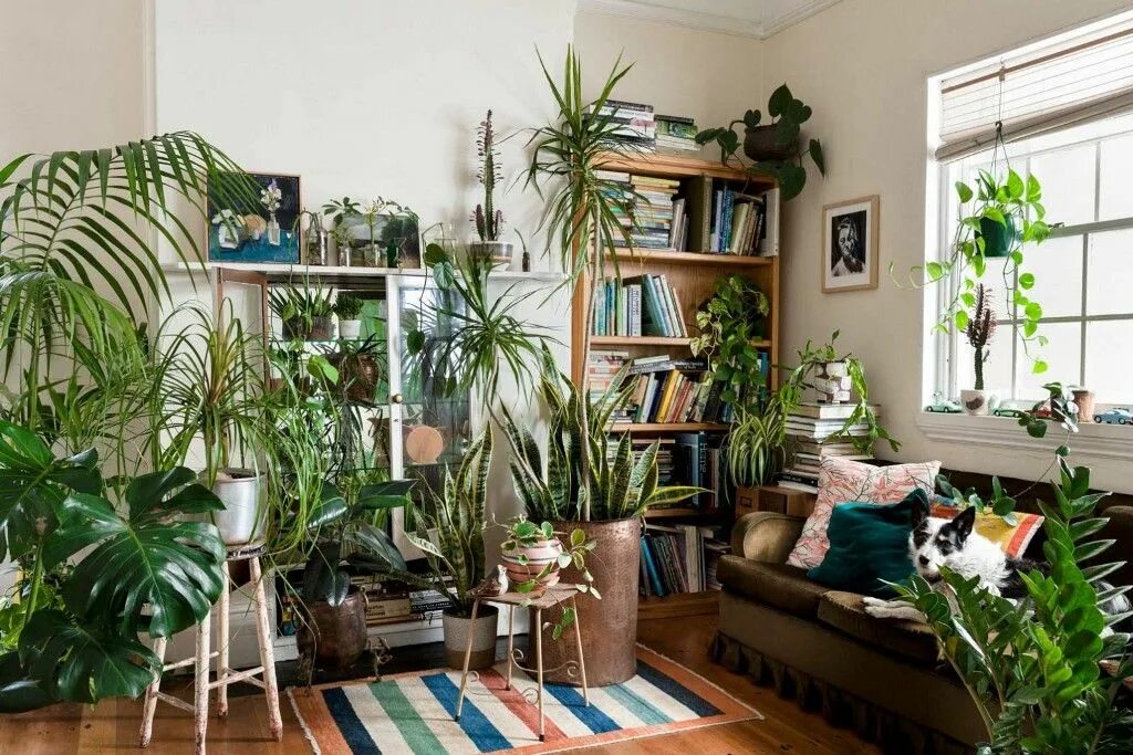 If you know where to look, Instagram isn't just a source of inspiration for the 