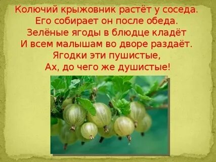Крыжовенный как пишется
