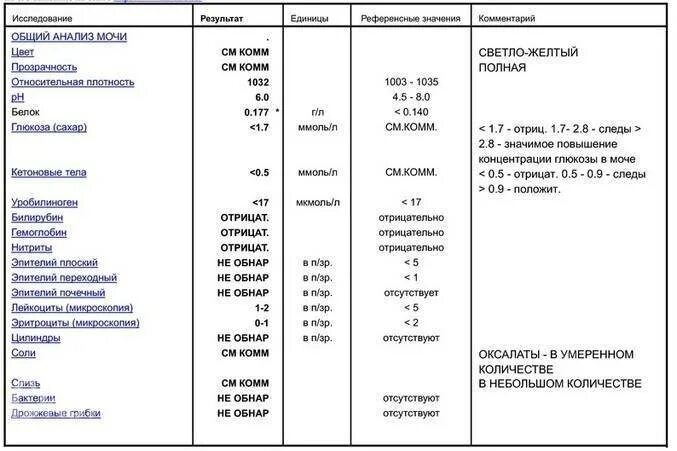 0.1 Г/Л белка в моче. Белок в моче 0.15 г/л. Белок 0.4г/л в моче. Белок в моче 2.5 г/л. Белок 0 12