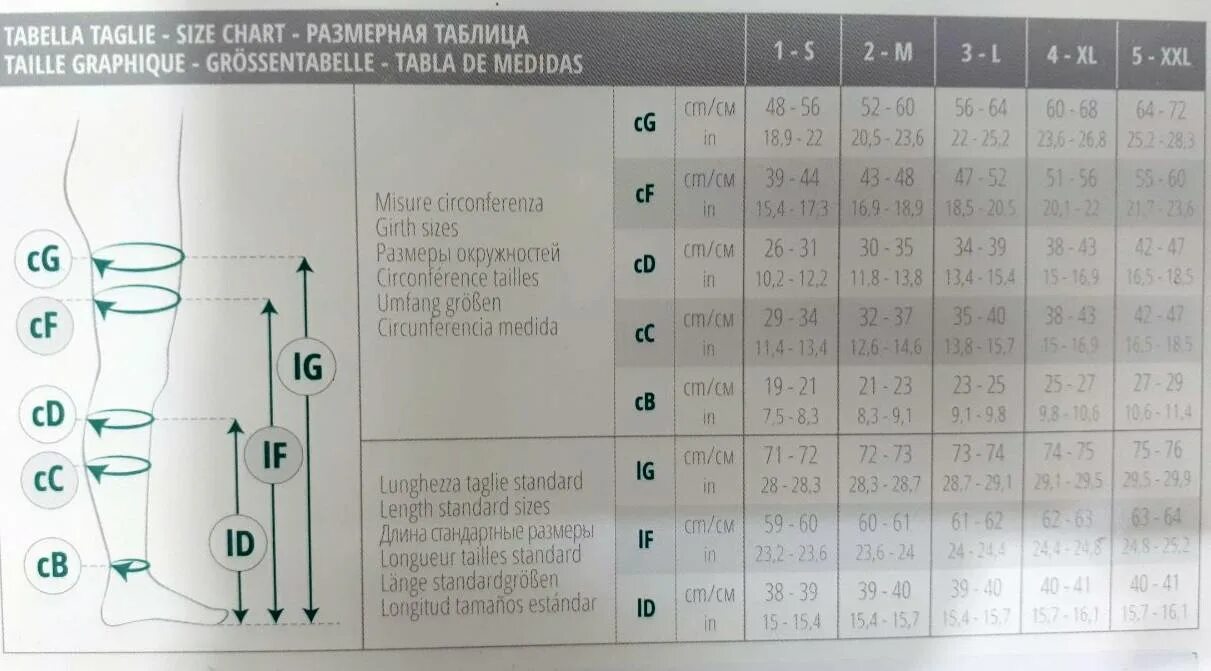 Таблица компрессионных чулков релаксант италия Чулки 1C202 VENOTEKS COMFORT Интернет-магазин ортопедических товаров "Восстано