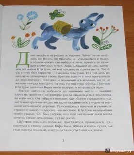 Выдался на редкость
