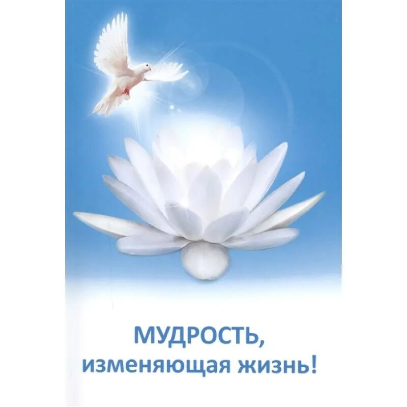 Ханер мудрость твоего. Мудрость, изменяющая жизнь. книга ханер мудрость твоего лица.