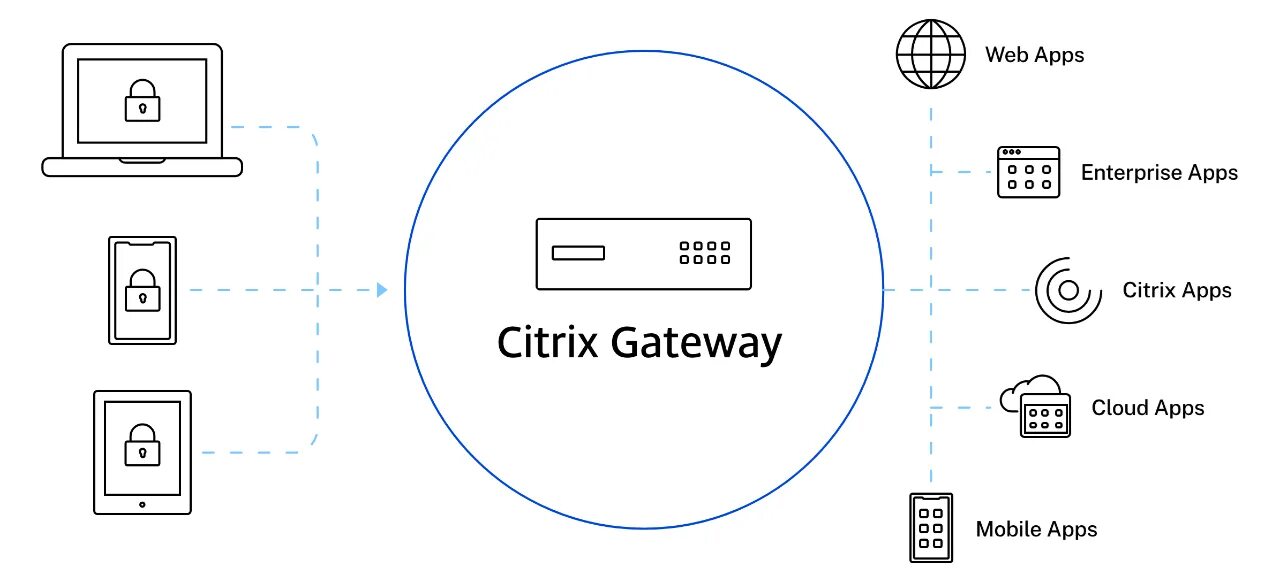 Citrix virtual apps. Схема работы citrix. citrix gateway. ibm domino 12.0.0. web access.