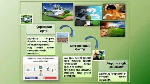 Жүктілік сынағындағы екінші сызық әрең көрінсе