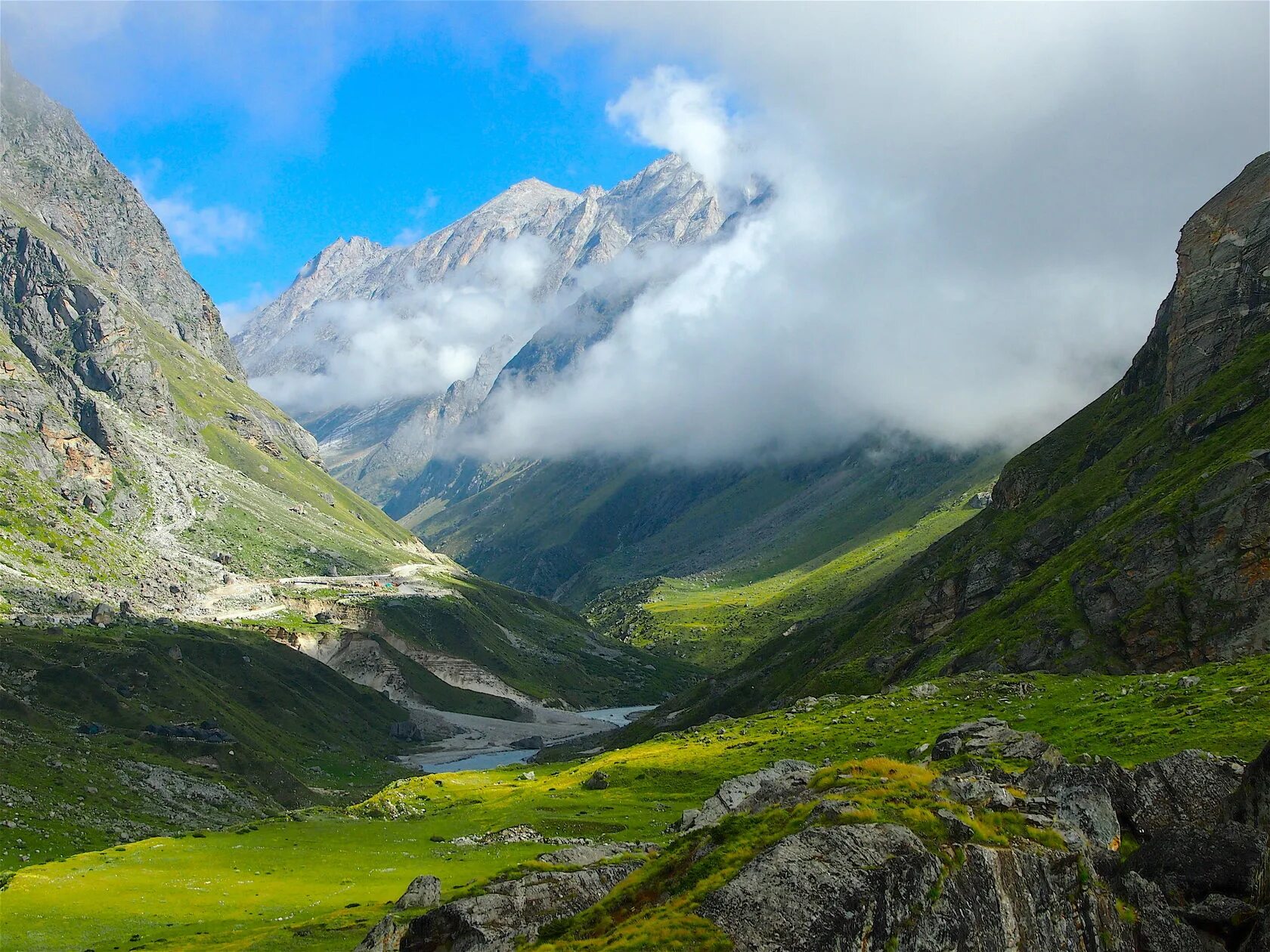 Цвет гималаи. Гималаи Долина. Предгорье Гималаев. Лето горы Гималаи. Альпийские Луга Гималаи Непал.