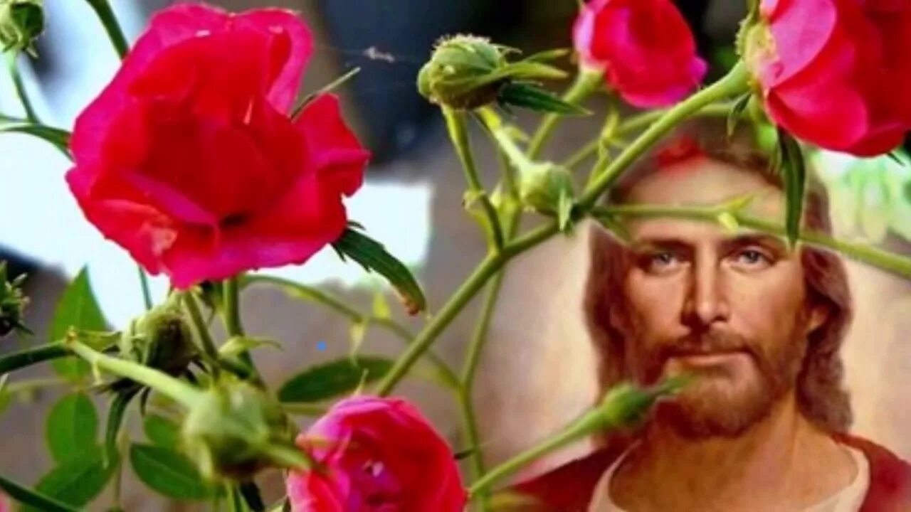 Иисус с цветами. Венок христа цветок. Цветы для иисуса. Иисус с цветами. Сердце иисуса.