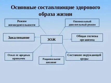 Определите составляющие здорового дня обж