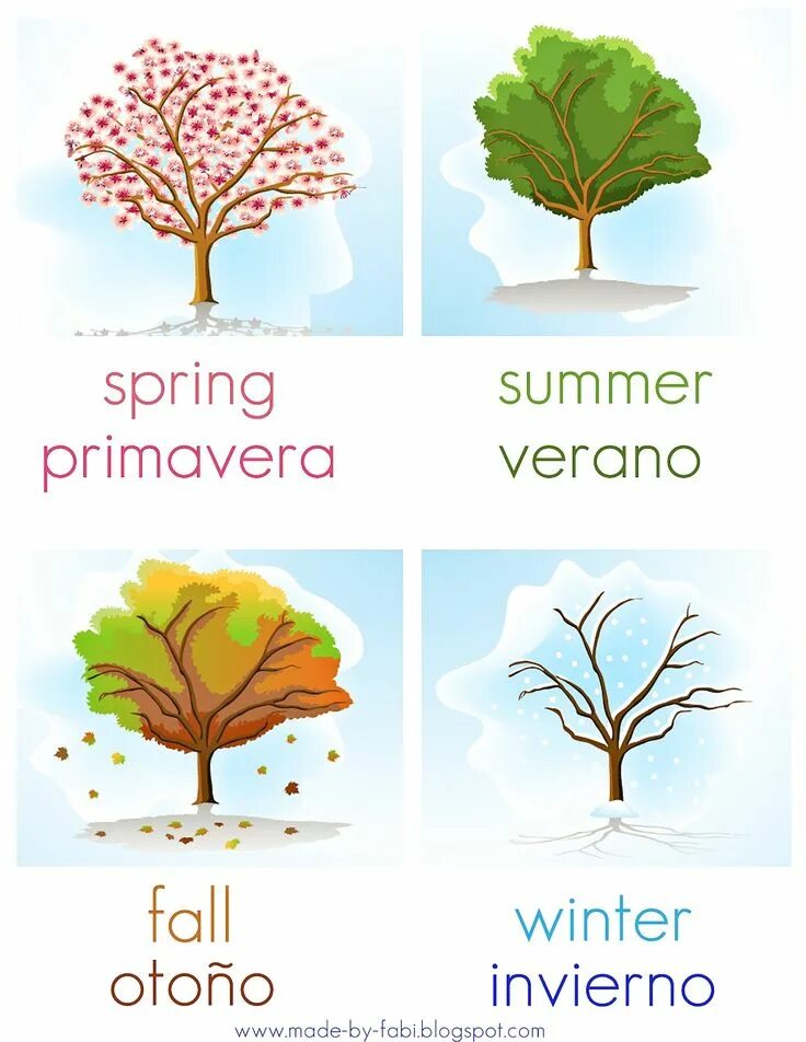 Seasons of the year. Seasons картинки. Плакат Seasons of the year. Seasons of the year Summer. Seasons of the year spring