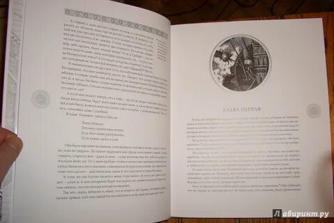 Почему понравилась книга