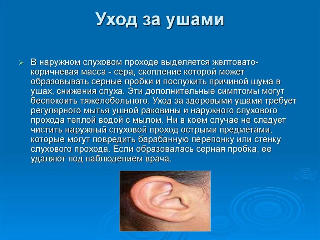 Для чего нужно ушко