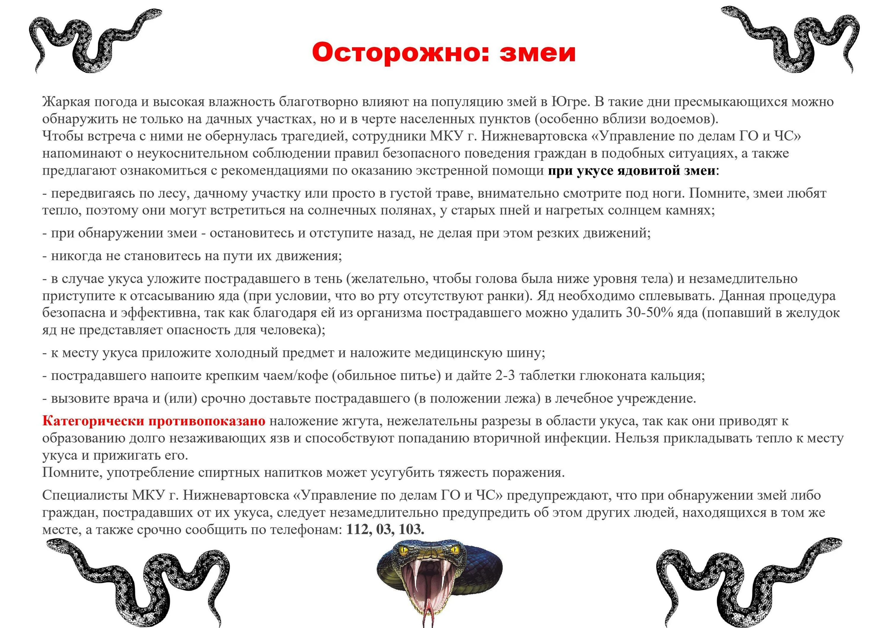 Правило при укусе змеи. Осторожно змеи памятка для родителей. Памятка осторожно змея. Памятка безопасности змеи. Памятка по змеям.