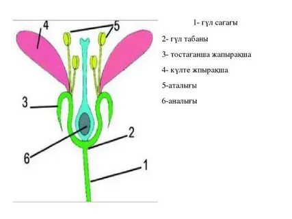 vk.com аудармасы бар порно