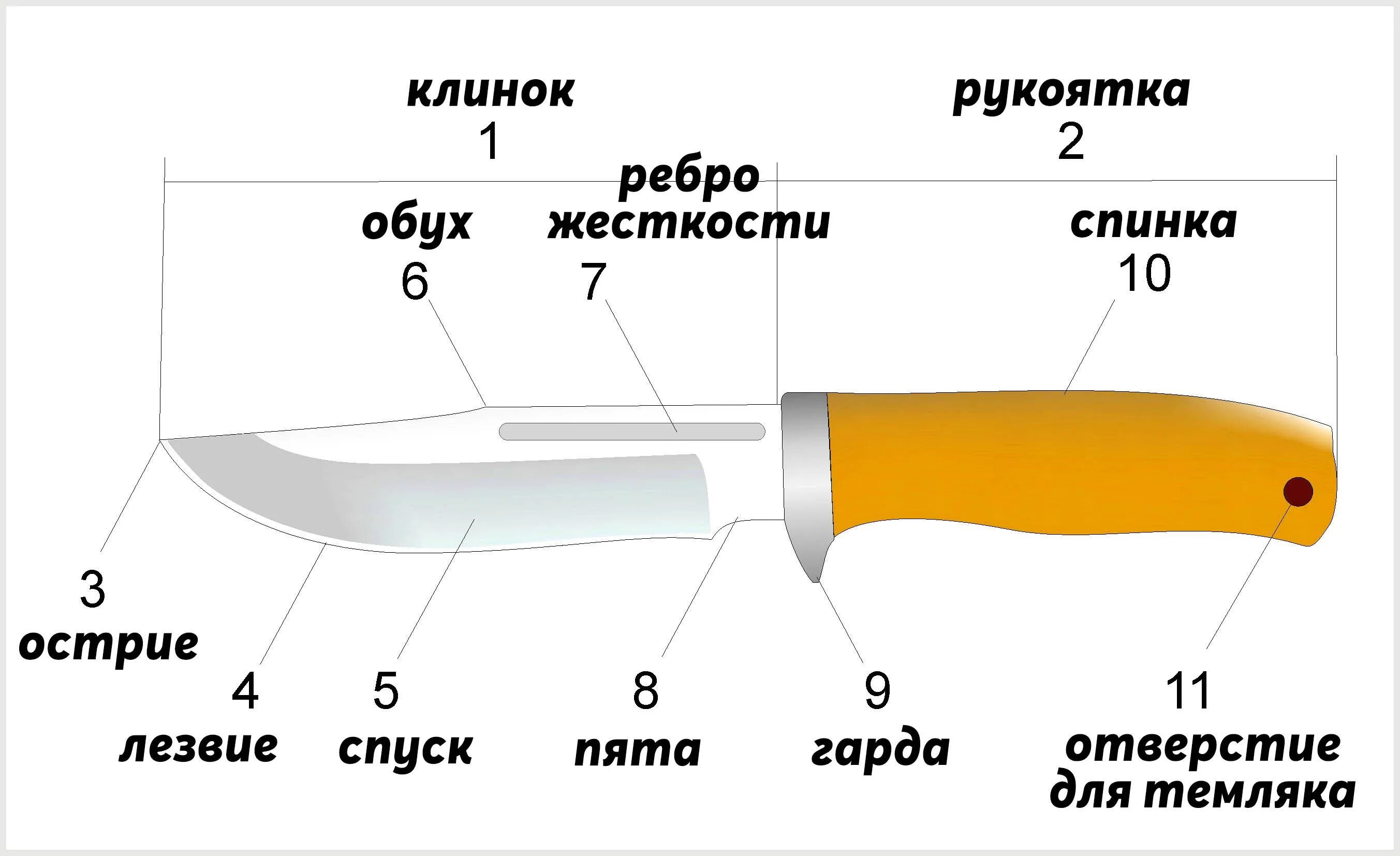 Какое лезвие для ножа. Чертежи кухонных ножей. Форма клинка ножа. Шаблон кухонного ножа. Форма лезвия ножа чертёж.