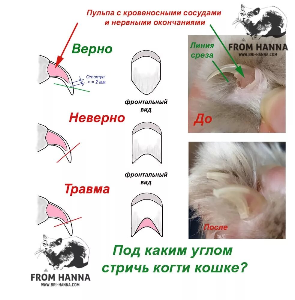 Мария Александровна в Instagram: "Ставим лайк и читаем полезную статью. На рисун