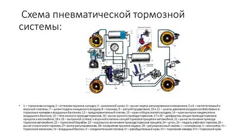 Устройство и работа пневматической тормозной системы