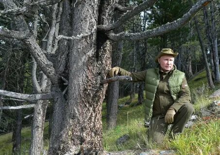 Люди работающие в лесу